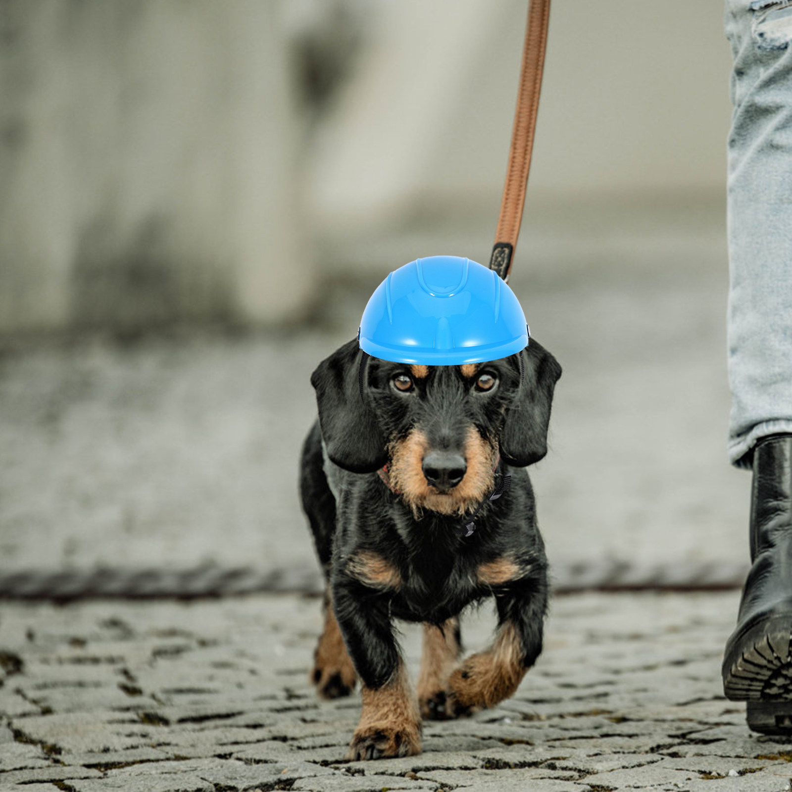 Motorcycle Gear For Dogs - دراجة نارية صغيرة قابلة للتعديل للكلاب،
