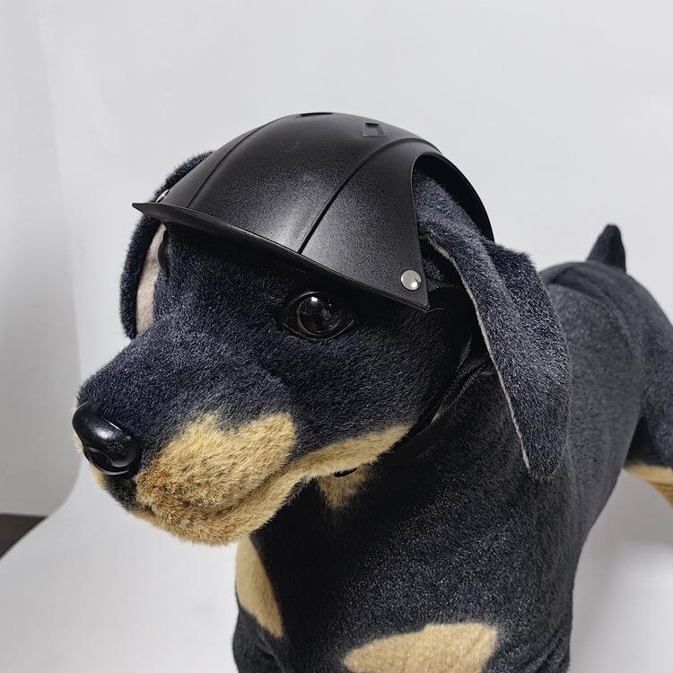 خوذة أمان للحيوانات الأليفة لل - مراجعة Motorcycle Gear For Dogs وسعره