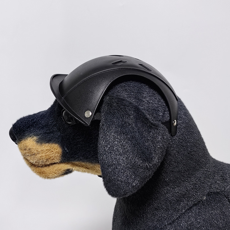 خوذة أمان للحيوانات الأليفة لل - مراجعة Motorcycle Gear For Dogs وسعره
