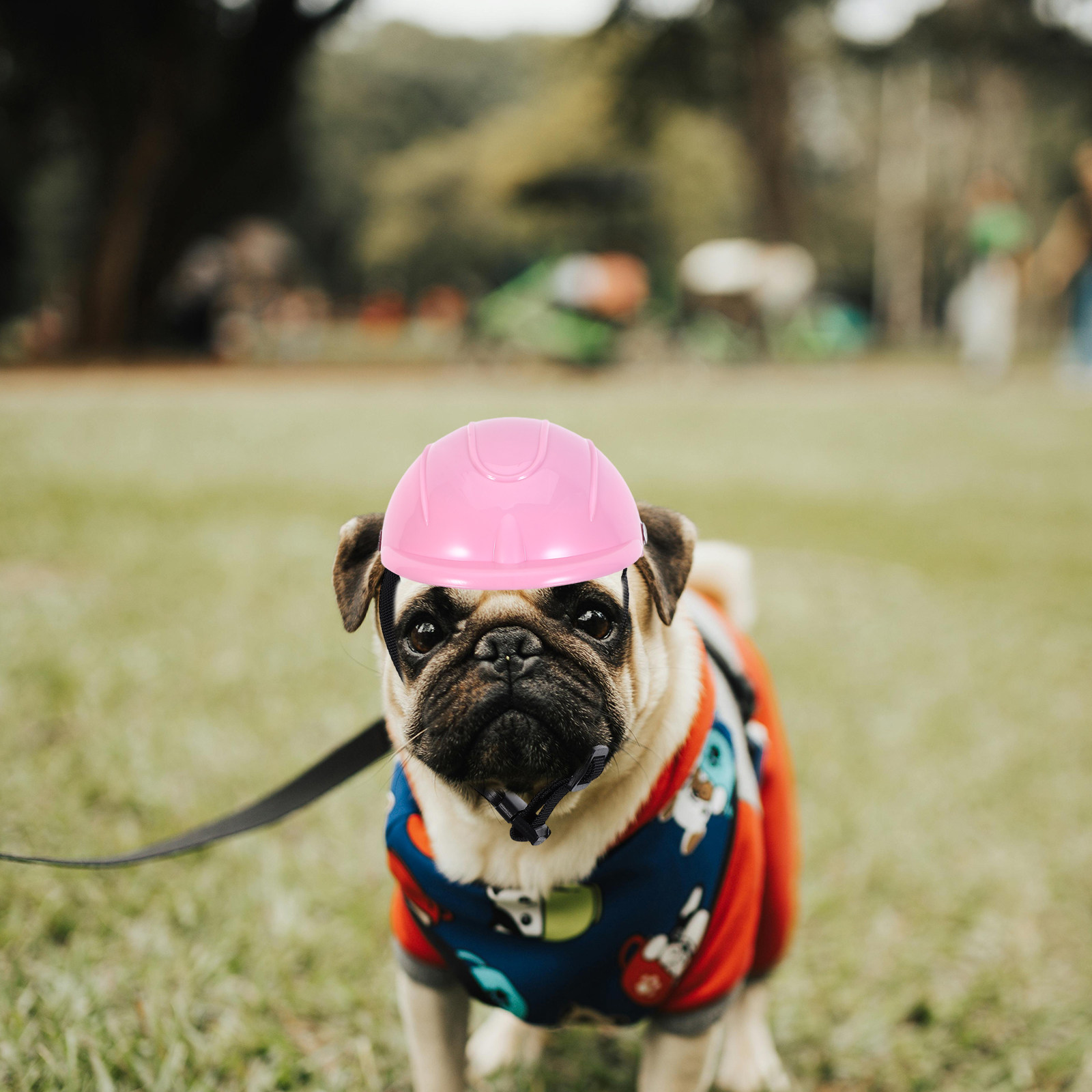خوذة أمان قابلة للتعديل للكلاب - مراجعة Motorcycle Gear For Dogs وسعره