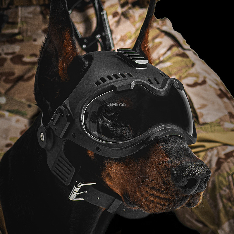 في الهواء الطلق الصيد الكلب خو - مراجعة Motorcycle Gear For Dogs وسعره