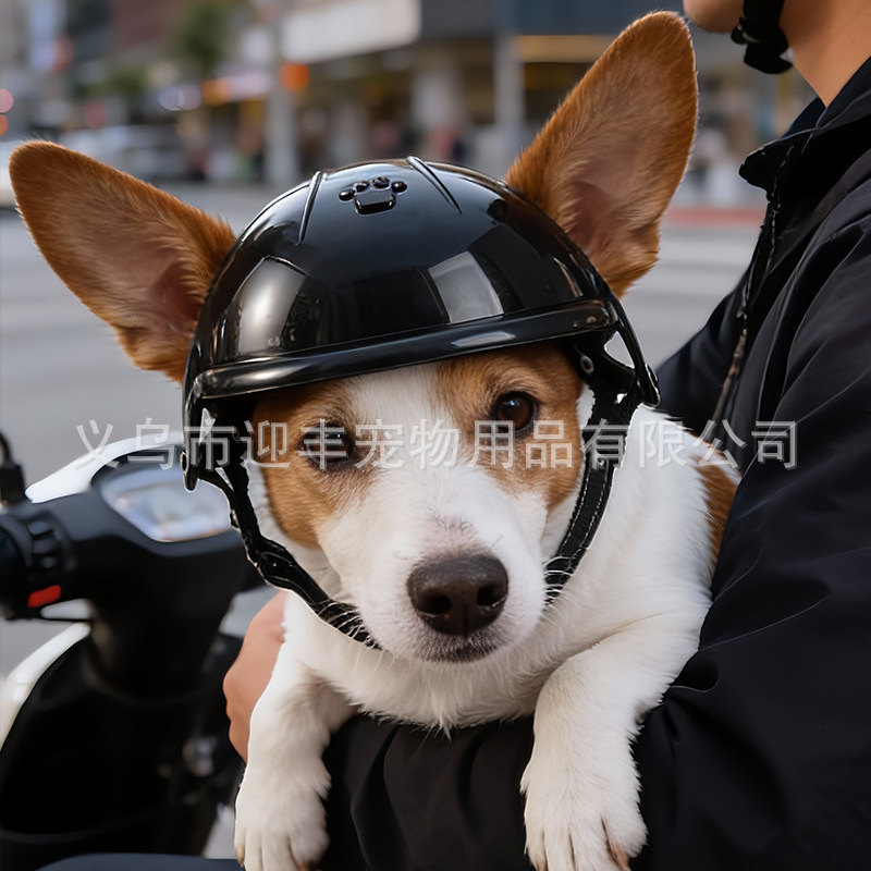 خوذة وردية للحيوانات الأليفة ع - مراجعة Motorcycle Gear For Dogs وسعره