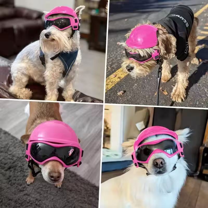 طقم خوذة ونظارات واقية للكلاب  - مراجعة Motorcycle Gear For Dogs وسعره